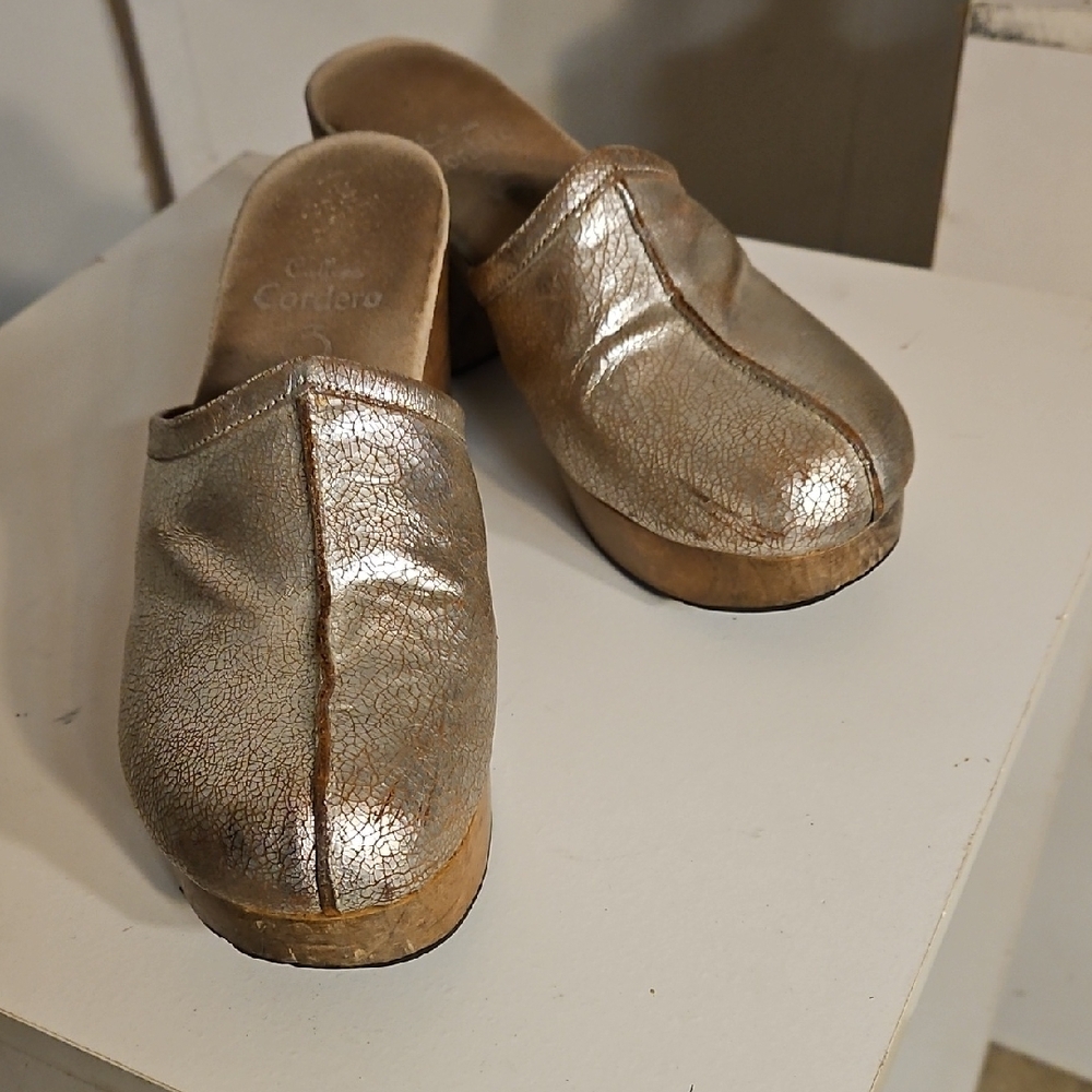 Women's Silver Slip-On Shoes
